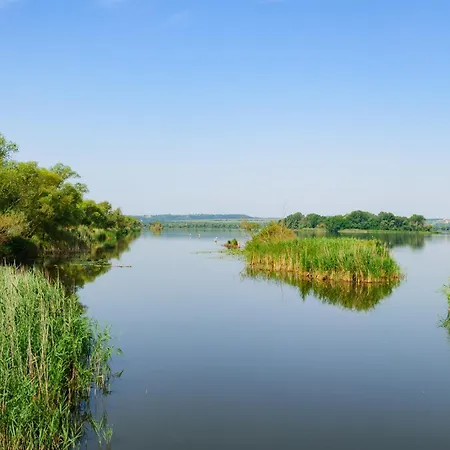 Holiday home Balatonbereny/Balaton 18113 *